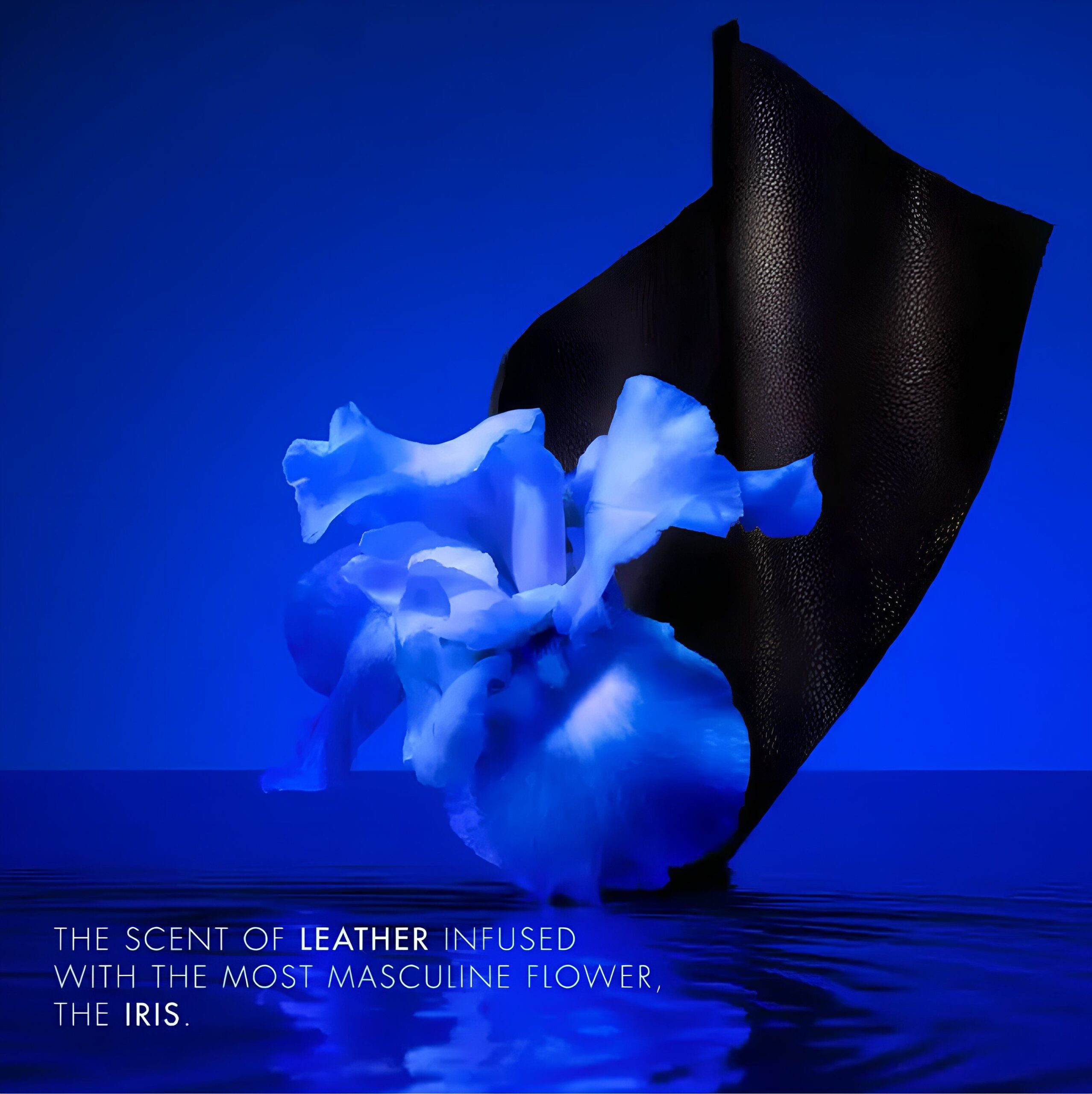 عطر ادکلن کنزو هم ایندیگو کنزو - Kenzo Homme Indigo Kenzo - بررسی، قیمت و خرید