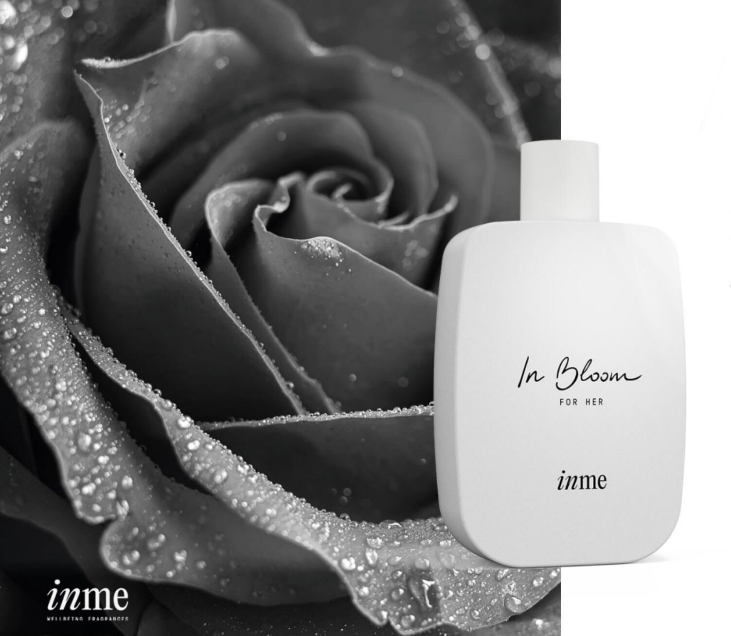 عطر ادکلن این بلوم اینه - In Bloom INME - بررسی، قیمت و خرید