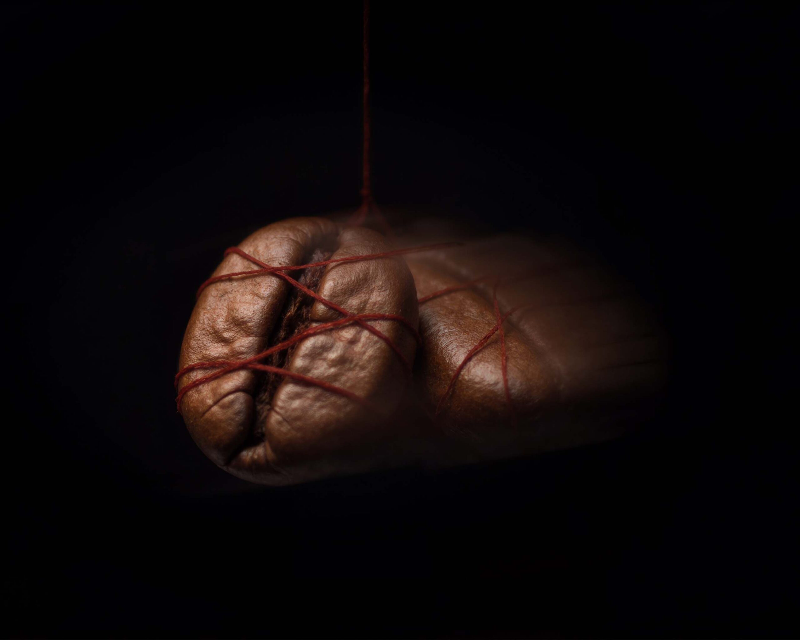 عطر ادکلن دوریانز اسپلین لنتروپیست - Dorian's Spleen L'Entropiste - بررسی، قیمت و خرید