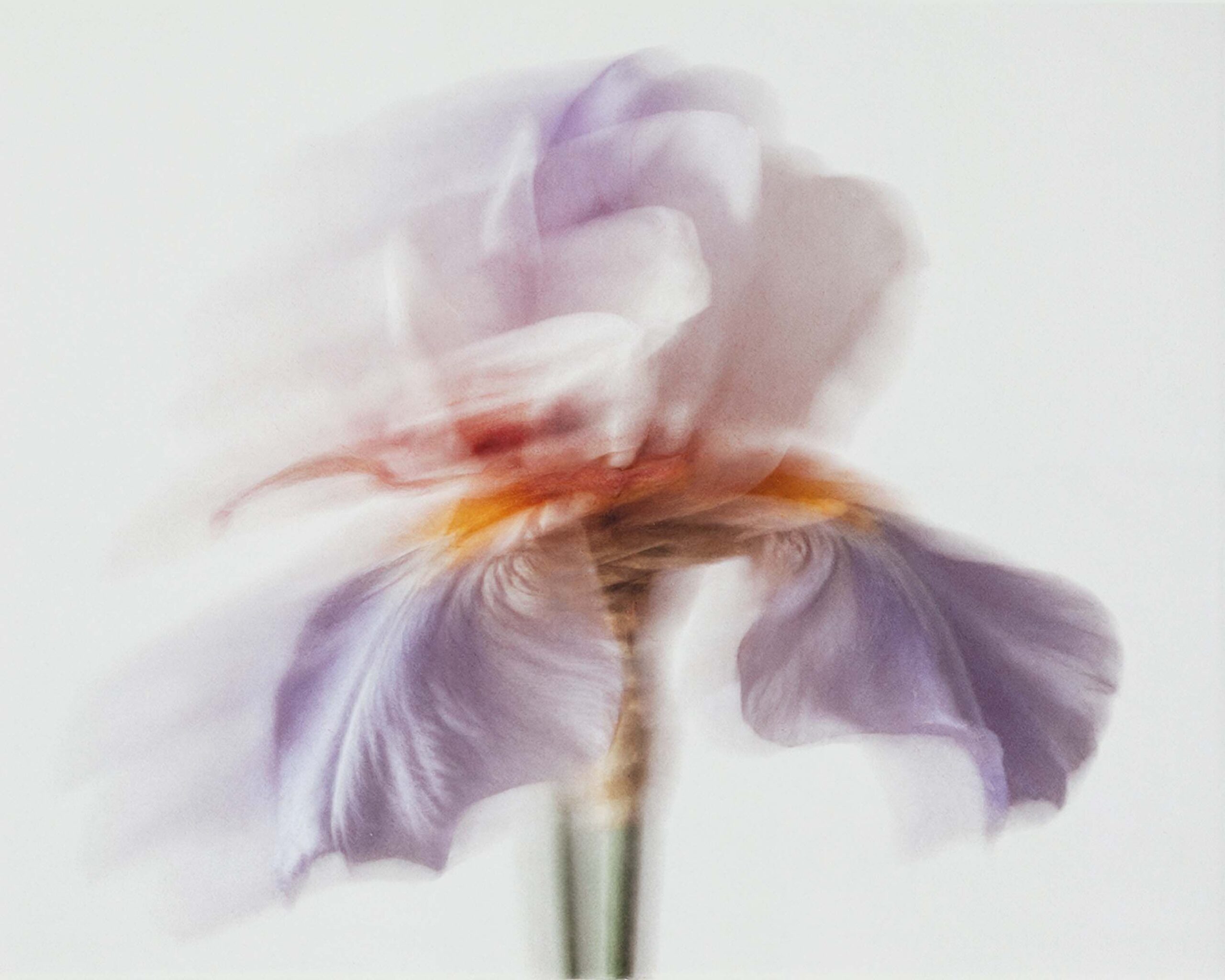 عطر ادکلن بلانک سادا لانتروپیست - Blanc Sada L'Entropiste - بررسی، قیمت و خرید