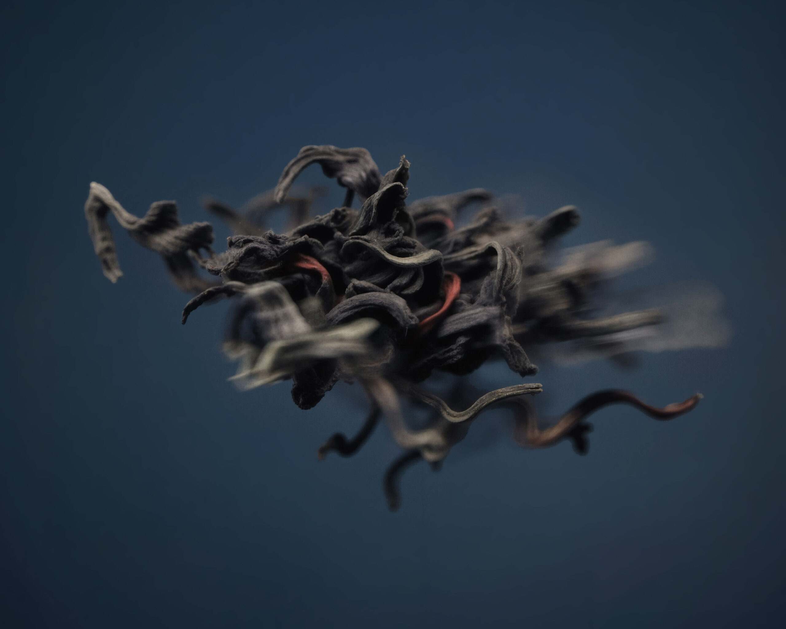 عطر ادکلن جودپور سیکس ای‌ام لانتروپیست - Jodhpur 6AM L'Entropiste - بررسی، قیمت و خرید