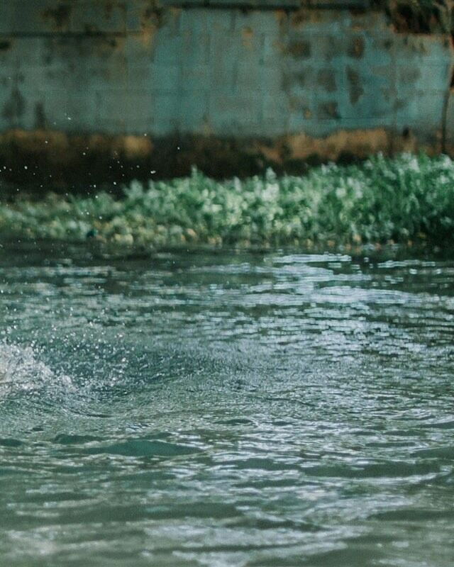 عطر ادکلن او فول لو گالیون - Eau Folle Le Galion - بررسی، قیمت و خرید