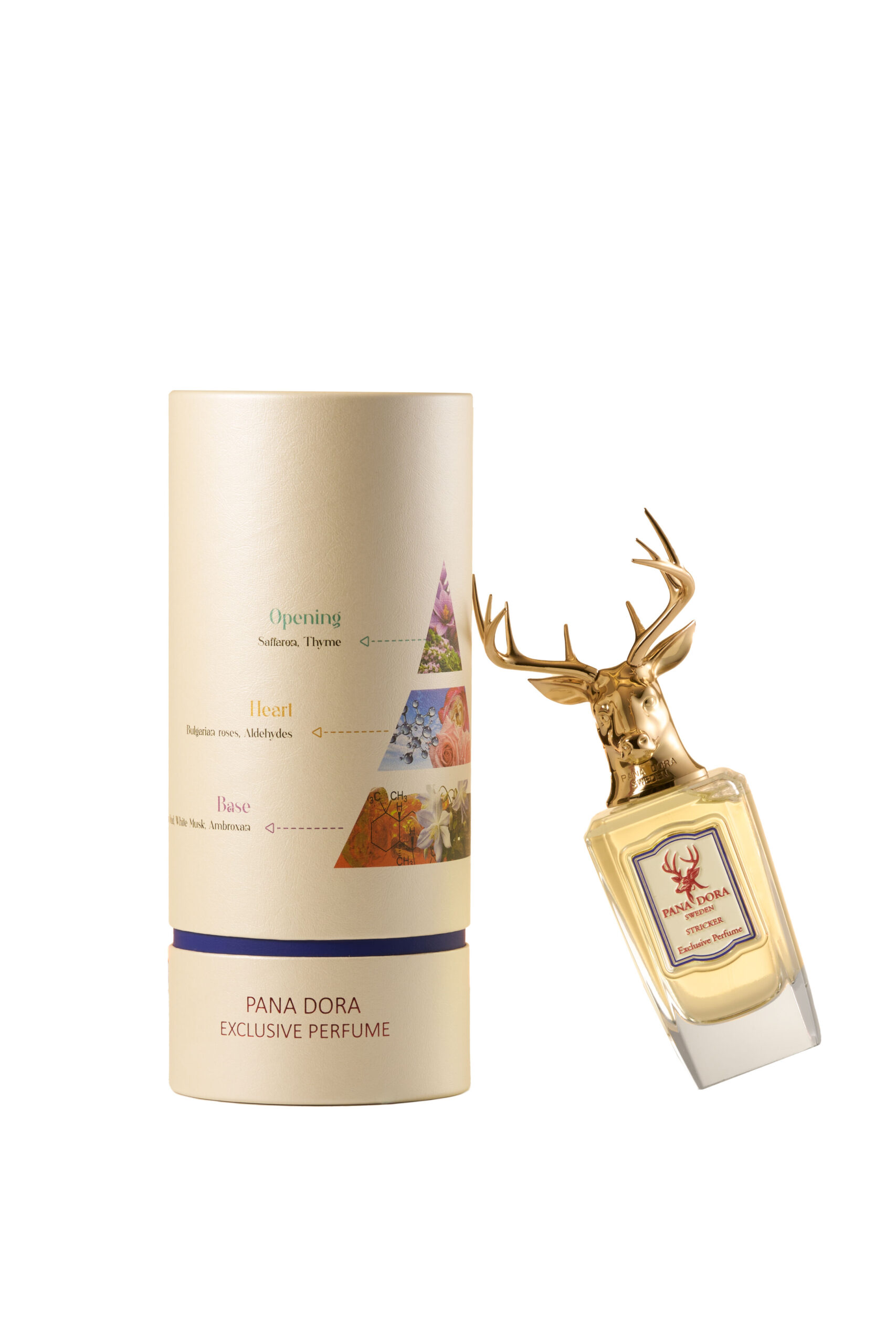 عطر ادکلن استریکر پانادورا - Stricker Pana Dora - بررسی، قیمت و خرید