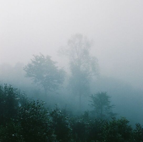 عطر ادکلن استیم پرفیومر اچ - Steam Perfumer H - بررسی، قیمت و خرید