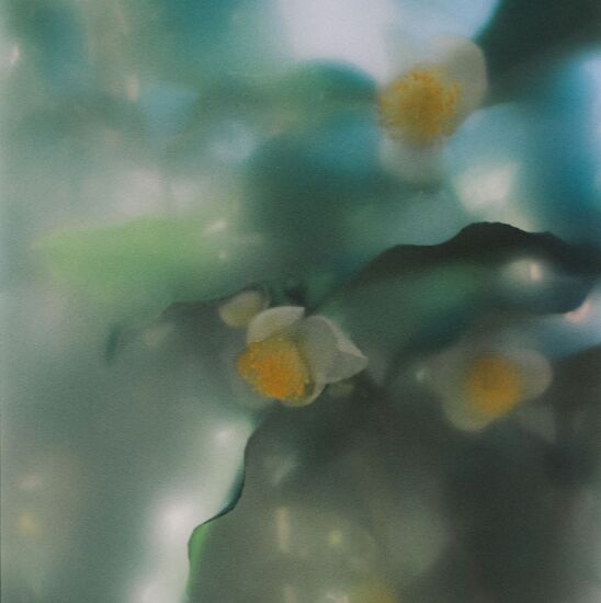 عطر ادکلن استیم پرفیومر اچ - Steam Perfumer H - بررسی، قیمت و خرید