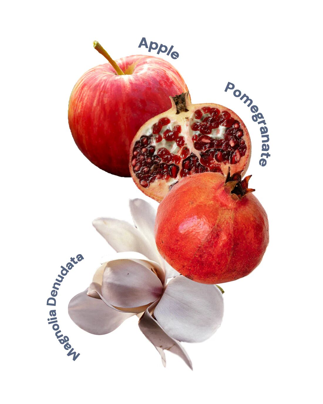 عطر ادکلن کریستال اپل فلاور نوز - Crystal Apple Flower Knows - بررسی، قیمت و خرید