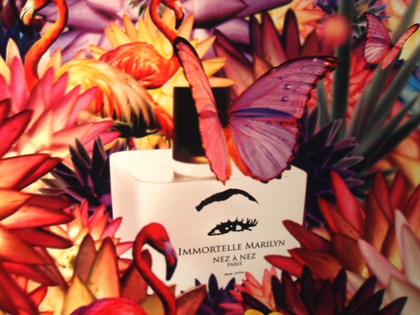 عطر ادکلن ایمرتل مرلین نِز ا نِز - Immortelle Marilyn Nez a Nez - بررسی، قیمت و خرید