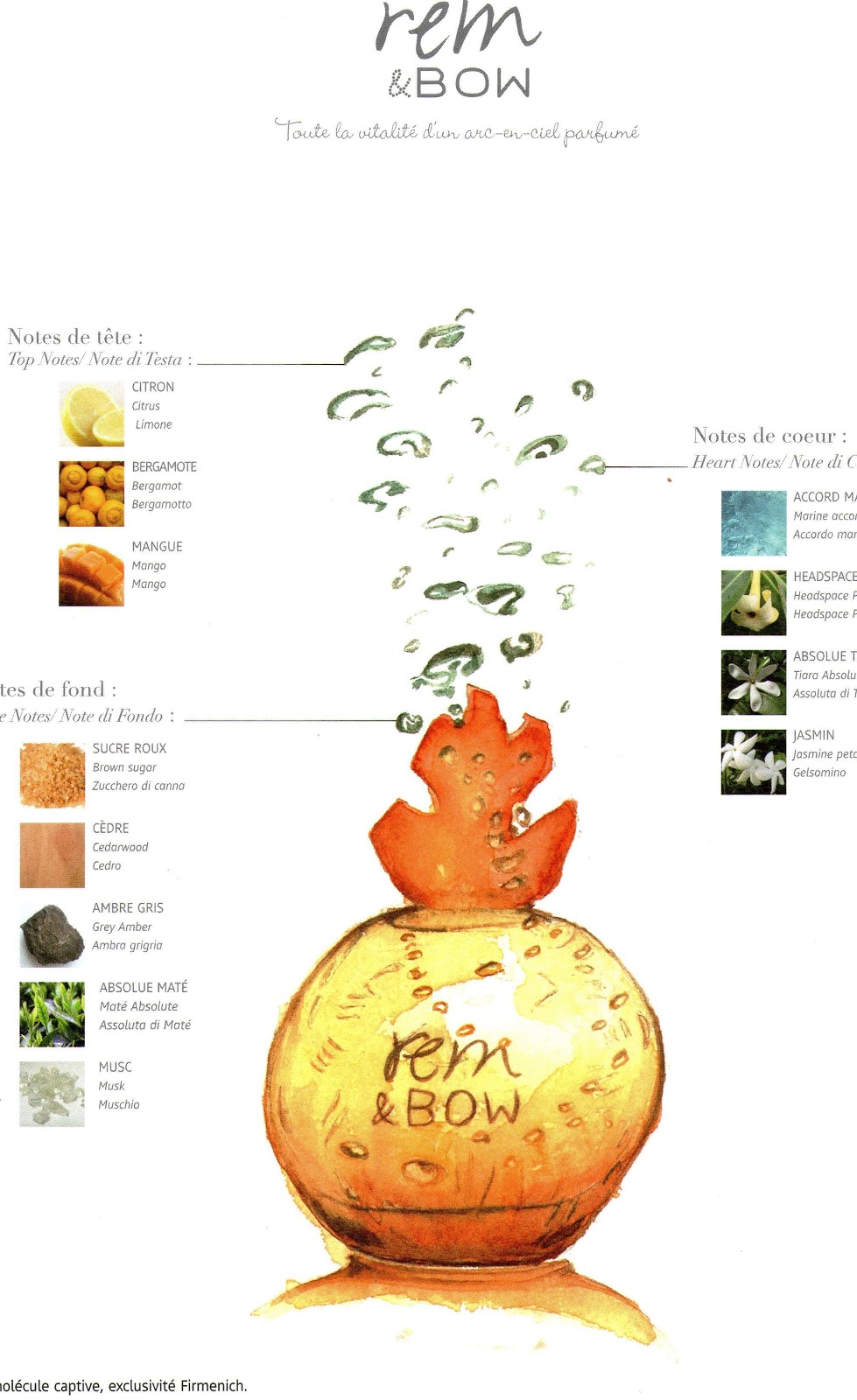 عطر ادکلن رم‌اند‌بو رِمینی‌سِنس - Rem & Bow Reminiscence - بررسی، قیمت و خرید