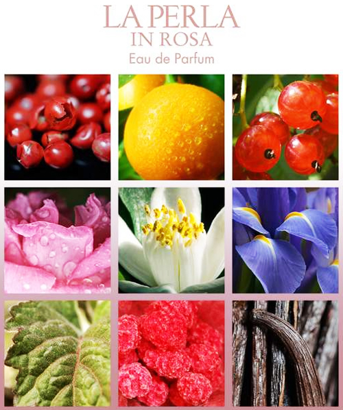 عطر ادکلن لابرلا این روزا ادو پرفیوم لا پرلا - La Perla In Rosa Eau de Parfum La Perla - بررسی، قیمت و خرید