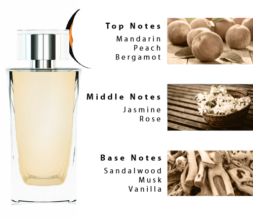 عطر ادکلن له پرفیوم جاکومو - Le Parfum Jacomo - بررسی، قیمت و خرید