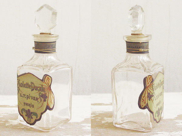 عطر ادکلن ویولت دوکال ال تی پیور - Violette Ducale L.T. Piver - بررسی، قیمت و خرید