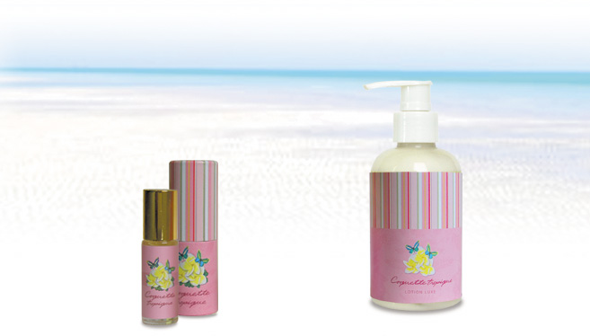 عطر ادکلن کوکت تروپیک مونیت پاریس - Coquette Tropique Monyette Paris - بررسی، قیمت و خرید