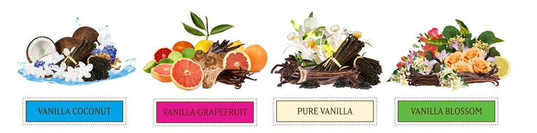 عطر ادکلن وانیلا کوکونت لاوانیلا لبوروتریز - Vanilla Coconut Lavanila Laboratories - بررسی، قیمت و خرید