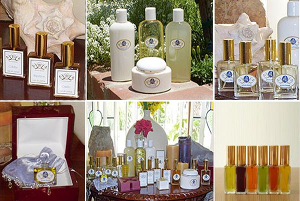 عطر ادکلن مِمُریز جوآن باسِت - Memories JoAnne Bassett - بررسی، قیمت و خرید