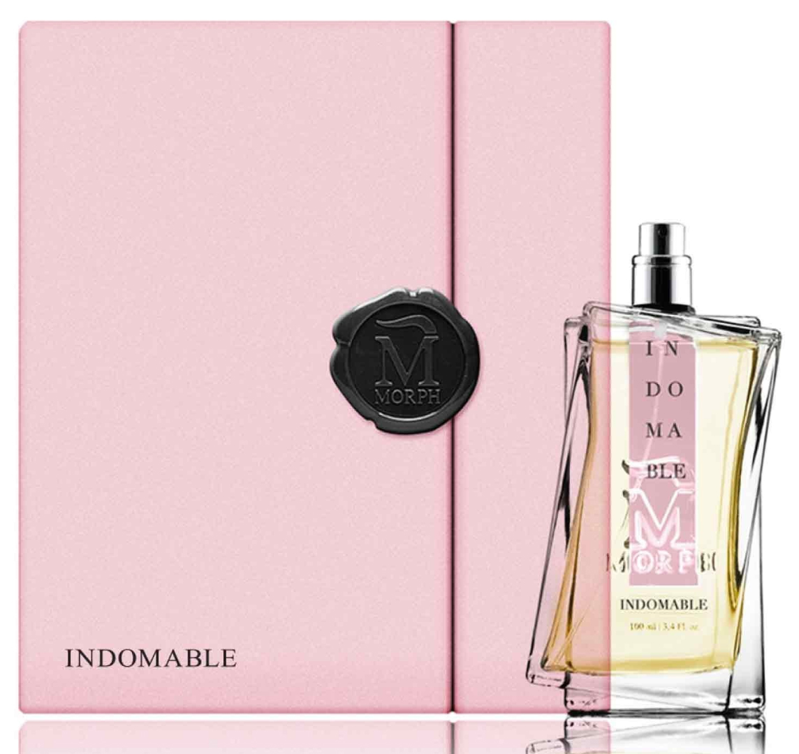 عطر ادکلن ایندومابل مورف - Indomable Morph - بررسی، قیمت و خرید