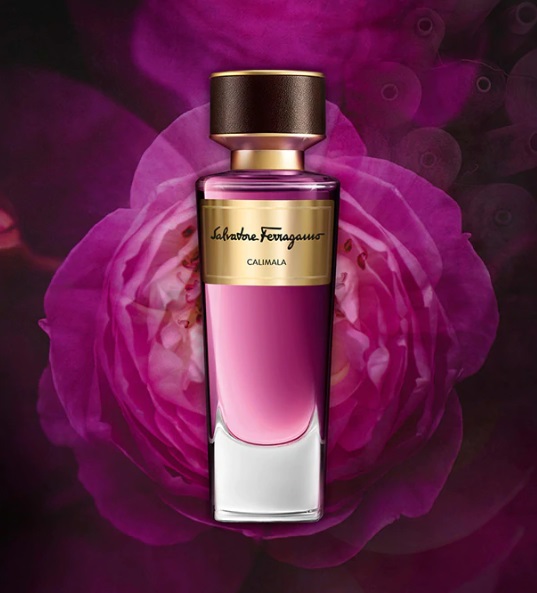 عطر ادکلن کالیمالا سالواتوره فراگامو - Calimala Salvatore Ferragamo - بررسی، قیمت و خرید