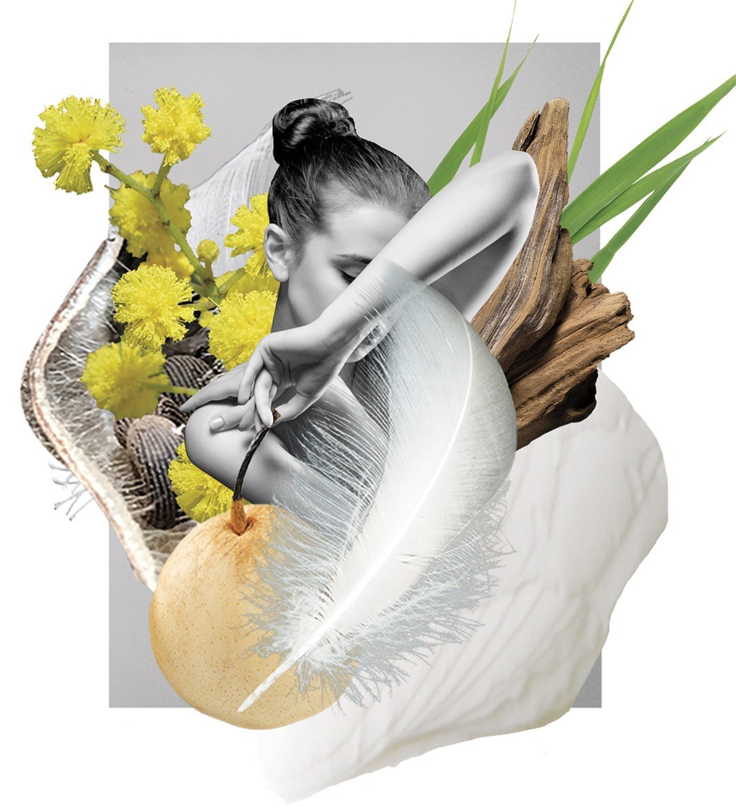 عطر ادکلن بلان سیل پلامیج - Blanc Ciel Plumages - بررسی، قیمت و خرید