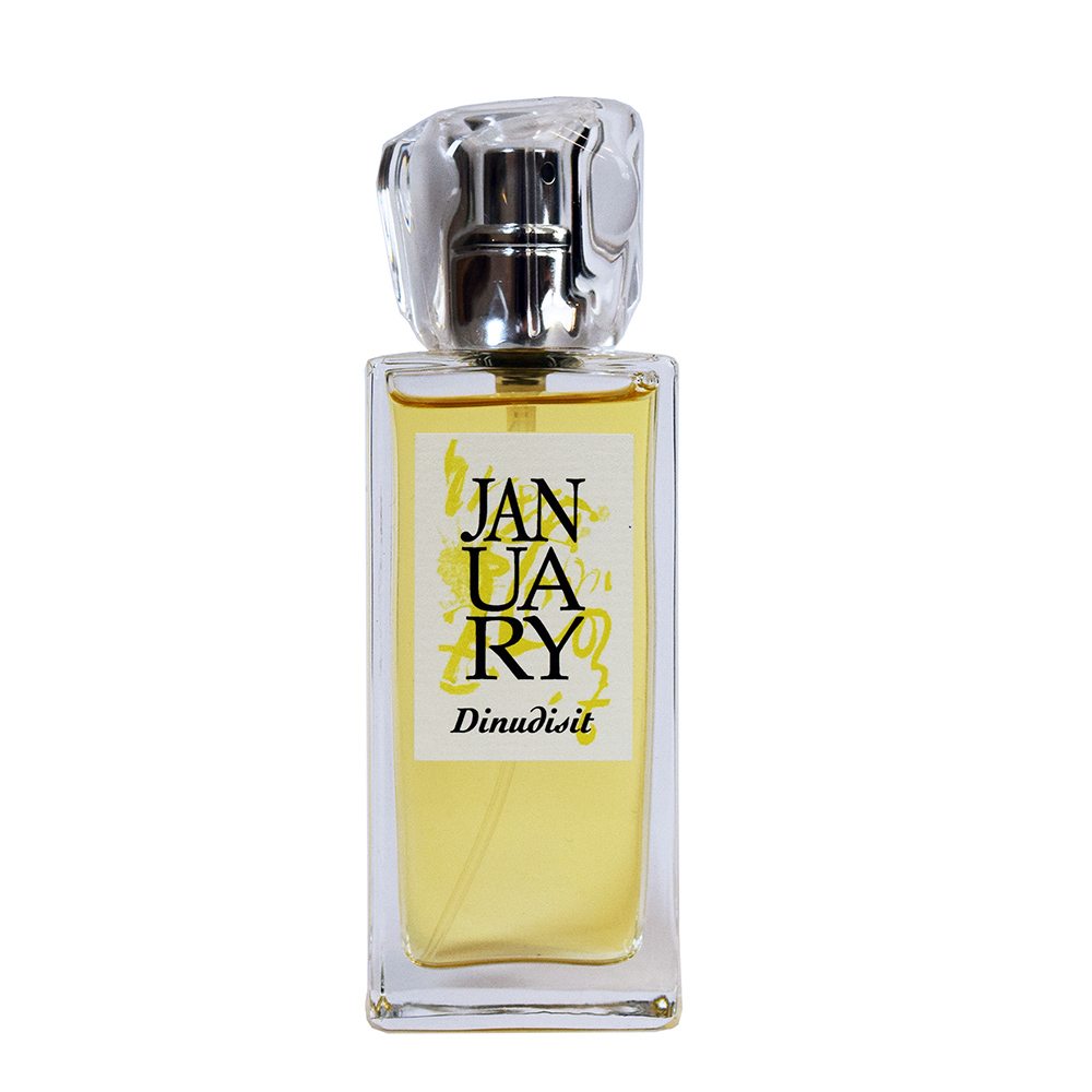 عطر ادکلن دینودیسیت جنیوری سنت پروجکت - Dinudisit January Scent Project - بررسی، قیمت و خرید
