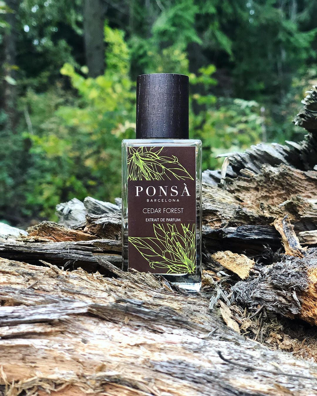 عطر ادکلن سیدار فورست پونسا - Cedar Forest Ponsa - بررسی، قیمت و خرید