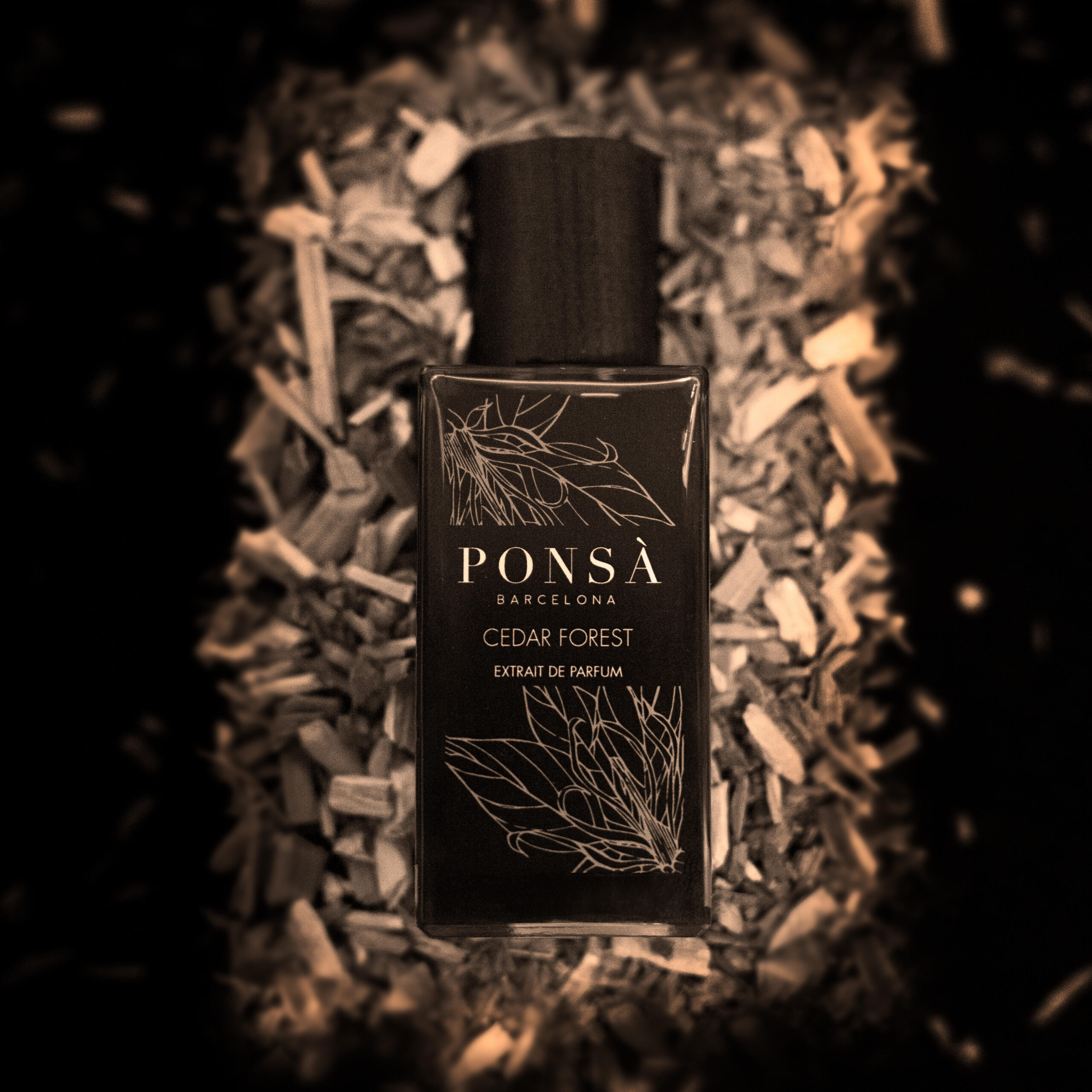 عطر ادکلن سیدار فورست پونسا - Cedar Forest Ponsa - بررسی، قیمت و خرید