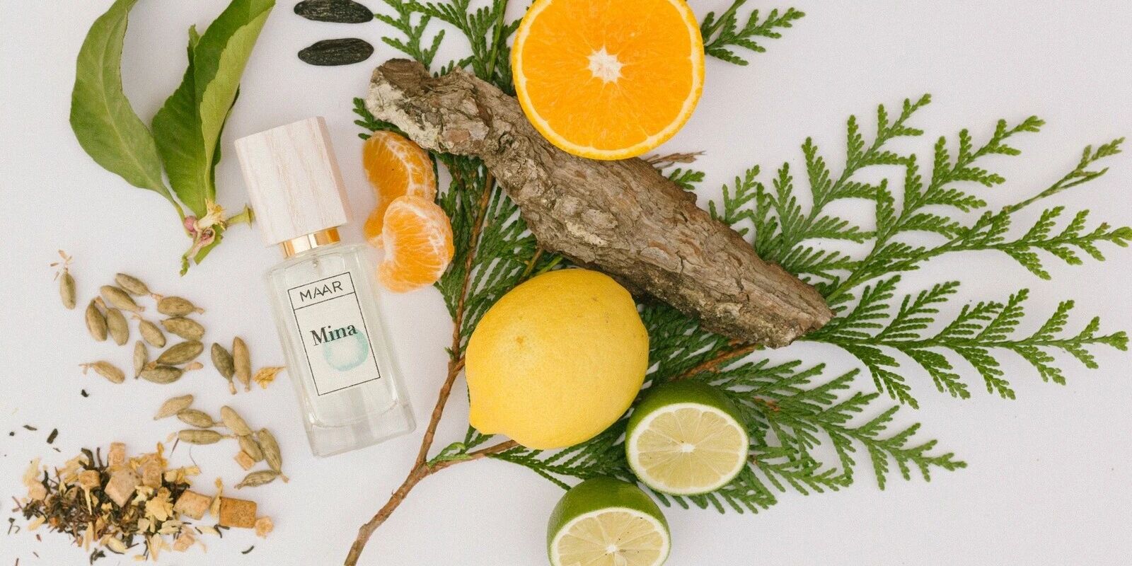 عطر ادکلن مینا مار - Mina Maar - بررسی، قیمت و خرید