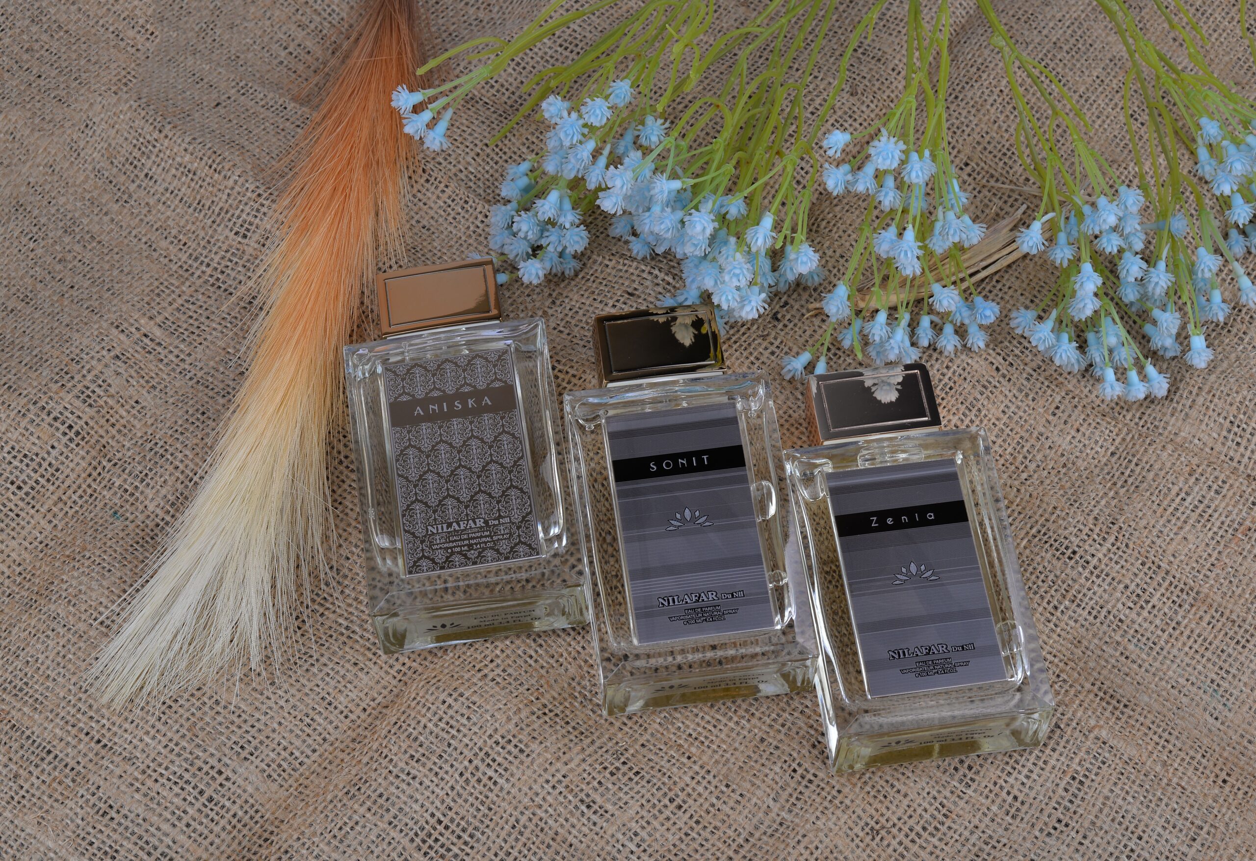 عطر ادکلن آنیسکا نیلفر دو نیل - Aniska Nilafar du Nil - بررسی، قیمت و خرید