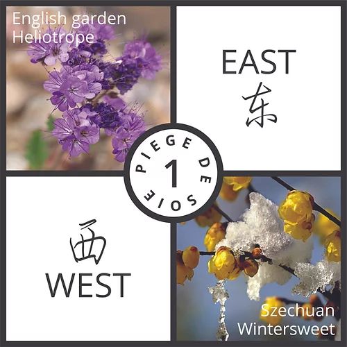 عطر ادکلن پیه ژ دو سوآ پرفیومز د فولوویل - Piege De Soie Parfums de Folleville - بررسی، قیمت و خرید