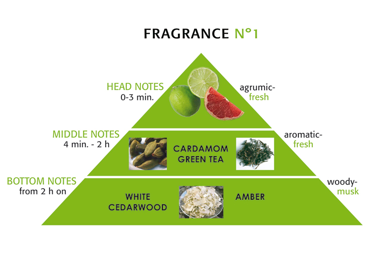 عطر ادکلن نامبر وان ام آزام - No.1 M. Asam - بررسی، قیمت و خرید