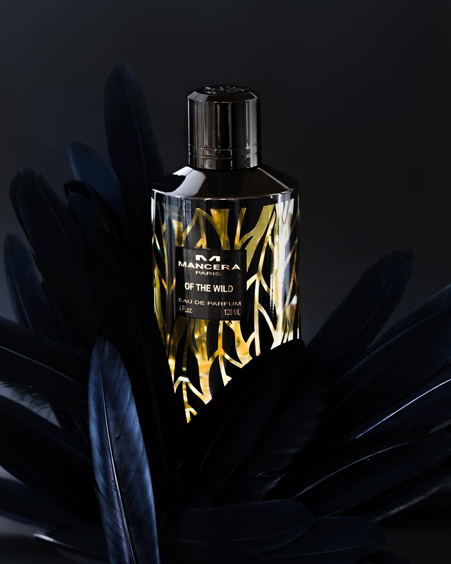 عطر ادکلن آف د وایلد مانسرا - Of The Wild Mancera - بررسی، قیمت و خرید