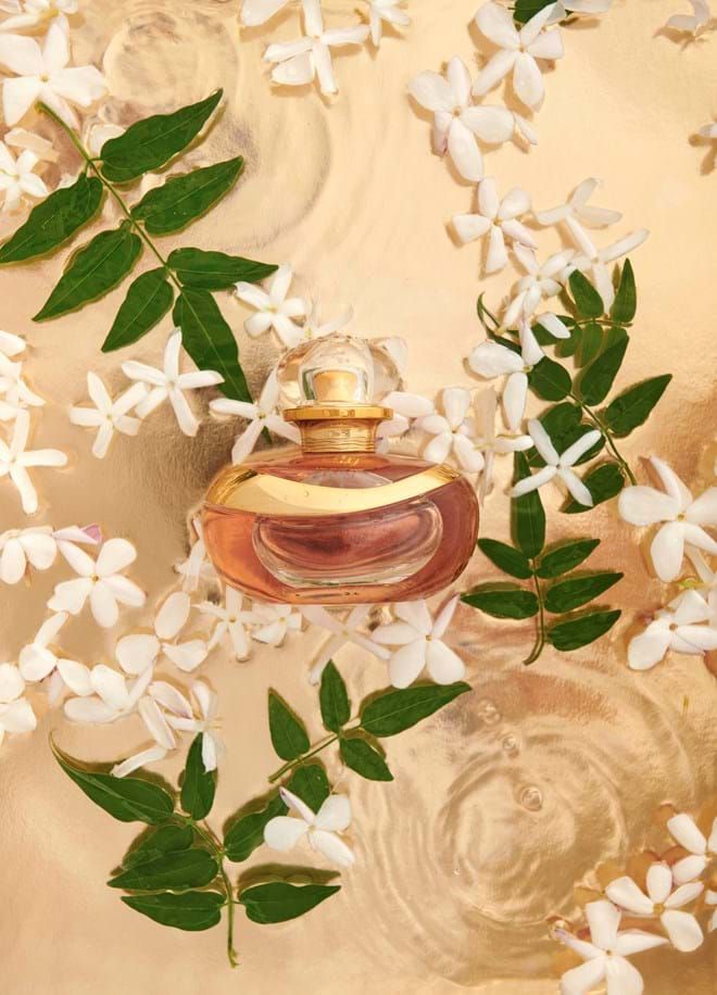 عطر ادکلن لیلی یونیک بای سارا ماتوس او بوتیکاریو - Lily Unique by Sara Matos O Boticário - بررسی، قیمت و خرید