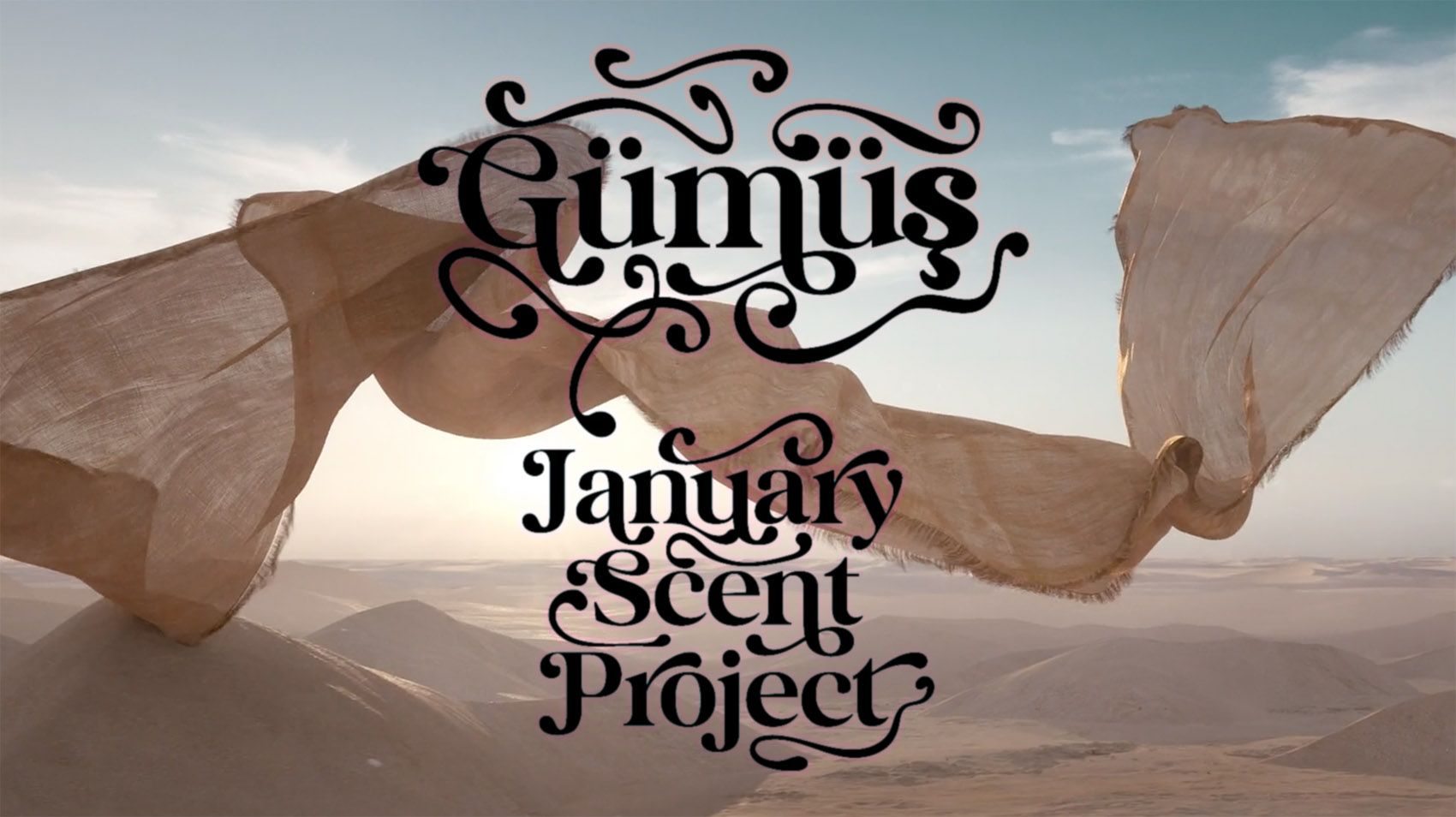 عطر ادکلن گوموش جنیوری سنت پروجکت - Gümüş January Scent Project - بررسی، قیمت و خرید