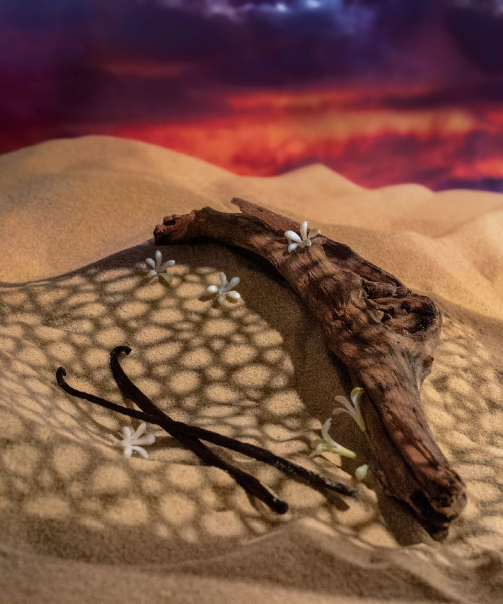 عطر ادکلن جانت سانست مایسا پرفیومز - Djanet Sunset Maïssa Parfums - بررسی، قیمت و خرید