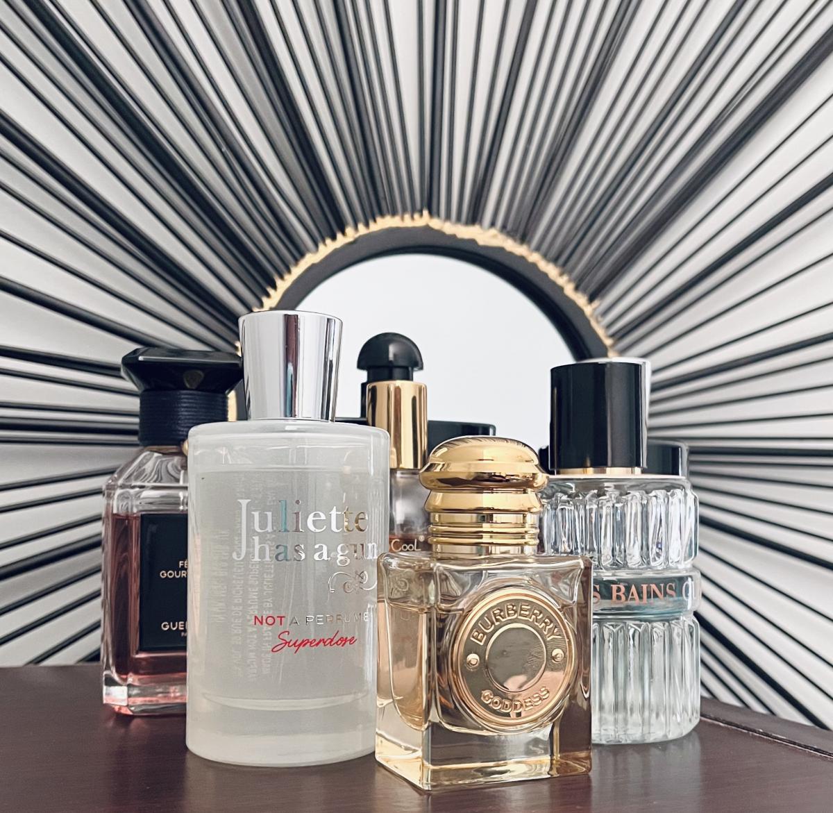 عطر ادکلن دو هزار و سیزده رزیدانس دِ آرتیست له بن گِربوا - 2013 Résidence d'Artistes Les Bains Guerbois - بررسی، قیمت و خرید