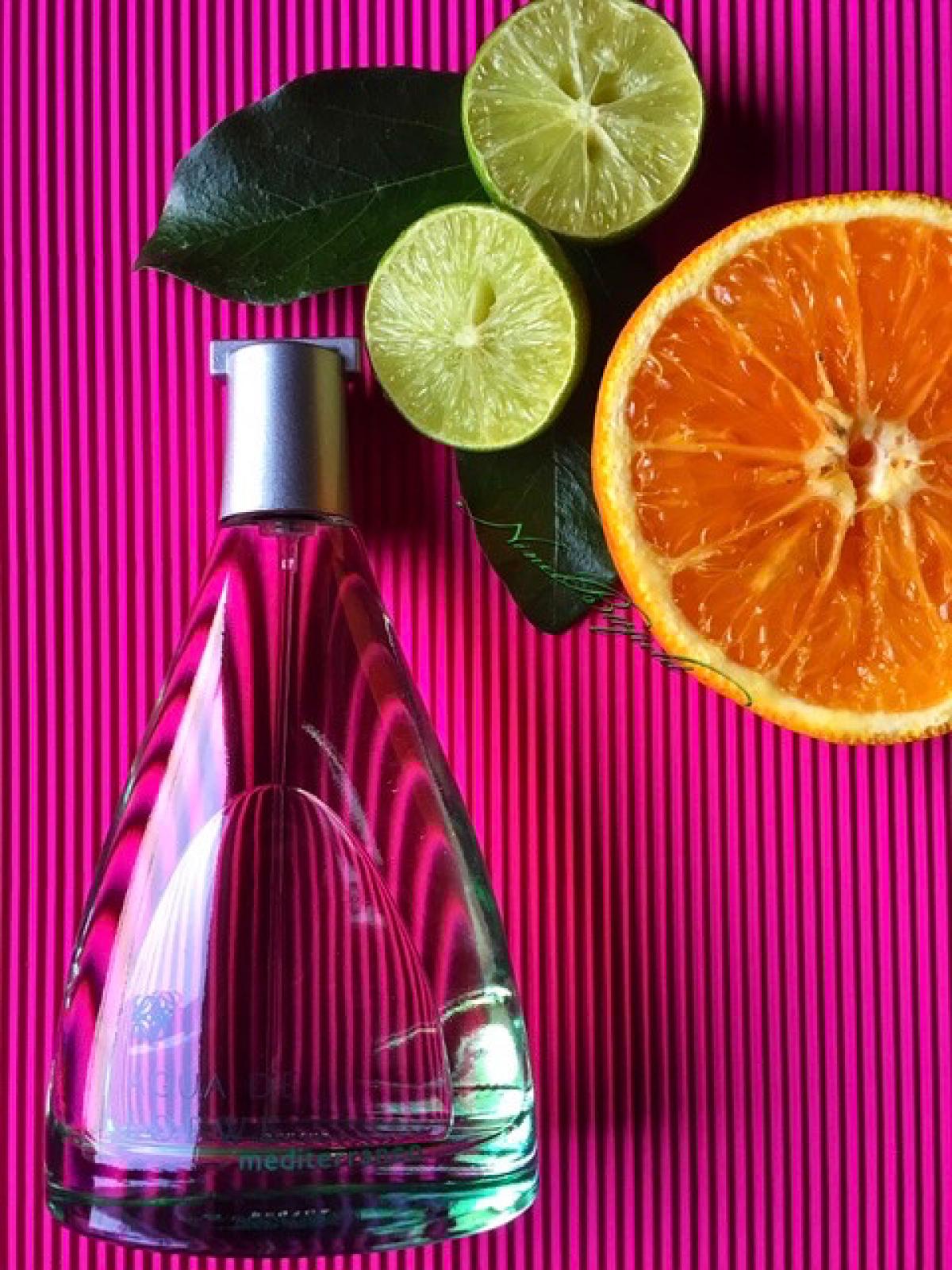 عطر ادکلن آگوا دی لووه مدیترانئو لووی - Agua de Loewe Mediterraneo Loewe - بررسی، قیمت و خرید