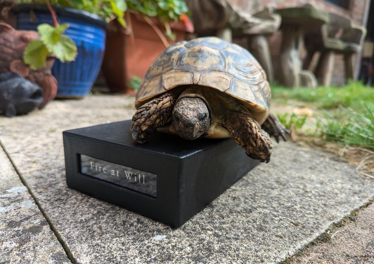 عطر ادکلن فایر ات ویل ژووی پاریس - Fire At Will Jovoy Paris - بررسی، قیمت و خرید