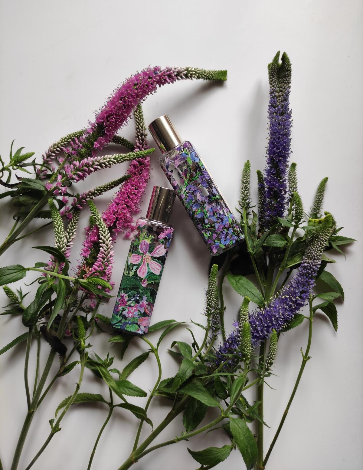 عطر ادکلن هایلند هدر جو مالون لندن - Highland Heather Jo Malone London - بررسی، قیمت و خرید