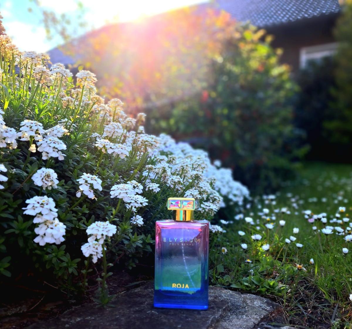 عطر ادکلن الیسیوم پور فم روجا داو - Elysium Pour Femme Roja Dove - بررسی، قیمت و خرید