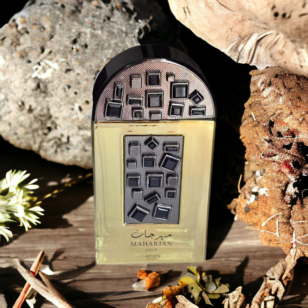 عطر ادکلن ماهرجان گلد لاتافا پرفیومز - Maharjan Gold Lattafa Perfumes - بررسی، قیمت و خرید