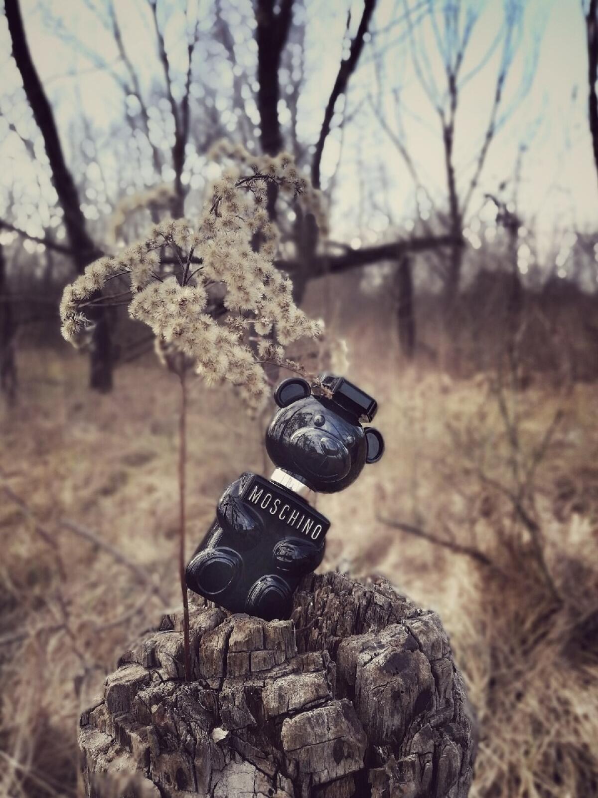 عطر ادکلن توی بوی ماشینو - Toy Boy Moschino - بررسی، قیمت و خرید