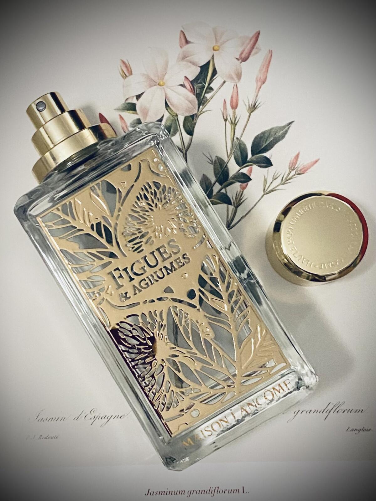 عطر ادکلن فیگوس اند آگرومس لنکوم - Figues & Agrumes Lancôme - بررسی، قیمت و خرید