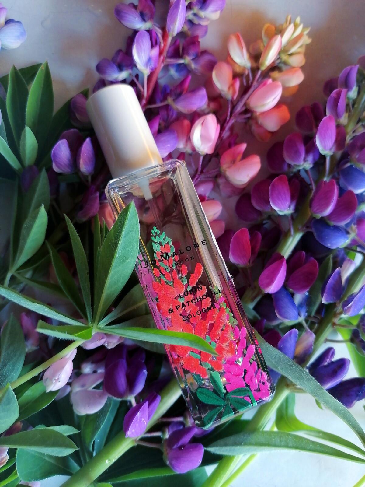 عطر ادکلن لوپین اند پچولی جو مالون لندن - Lupin & Patchouli Jo Malone London - بررسی، قیمت و خرید