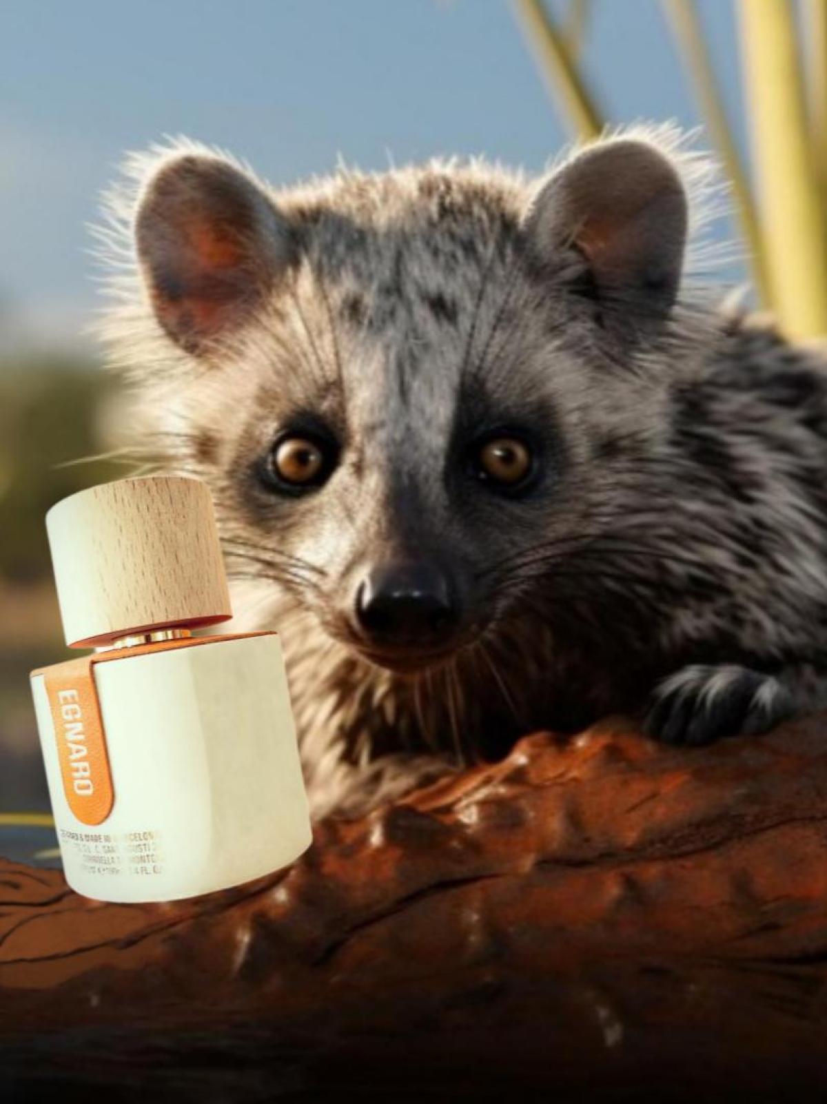 عطر ادکلن اگنارو سانتی برگاس - Egnaro Santi Burgas - بررسی، قیمت و خرید