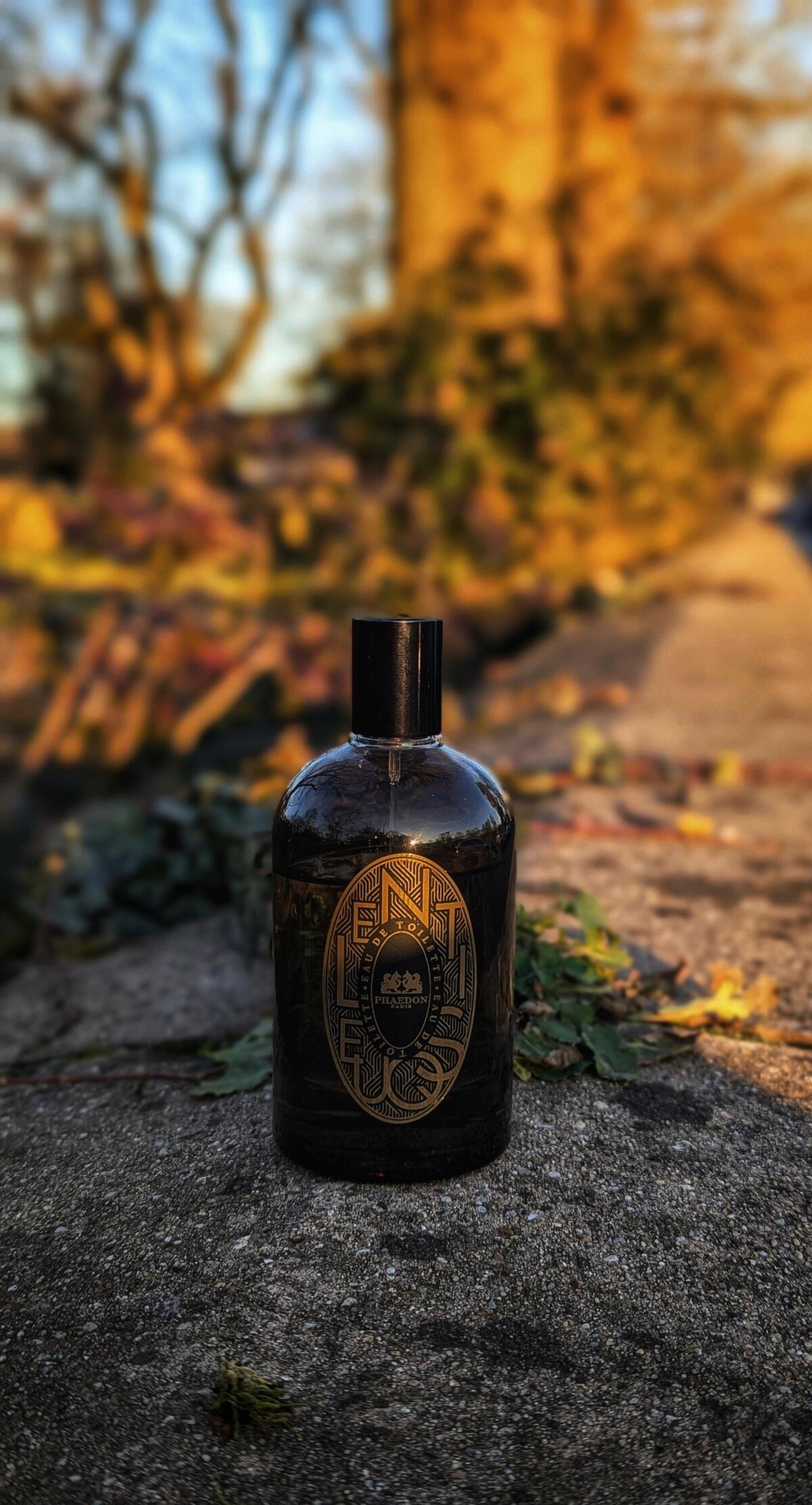 عطر ادکلن لنتیسک فایدون - Lentisque Phaedon - بررسی، قیمت و خرید