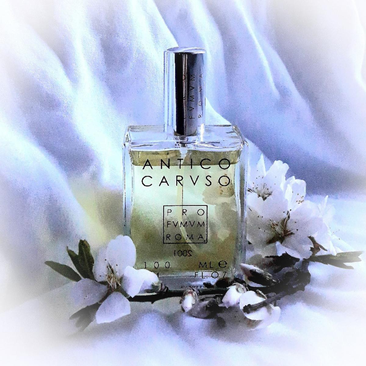 عطر ادکلن آنتیکو کاروسو پرفیوم روم - Antico Caruso Profumum Roma - بررسی، قیمت و خرید