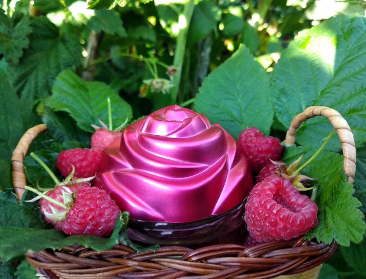 عطر ادکلن دلیکسی اوریفلیم - Delicacy Oriflame - بررسی، قیمت و خرید