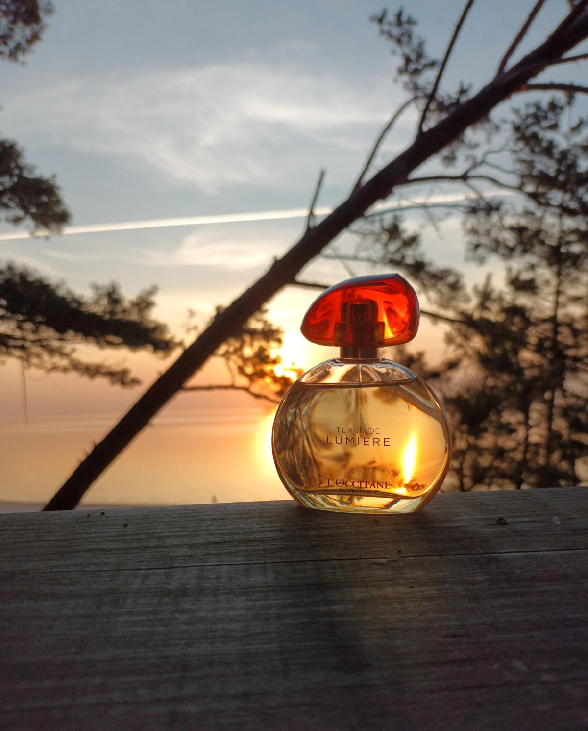عطر ادکلن تر دو لومیر لوکسیتان - Terre de Lumiere L'Occitane en Provence - بررسی، قیمت و خرید