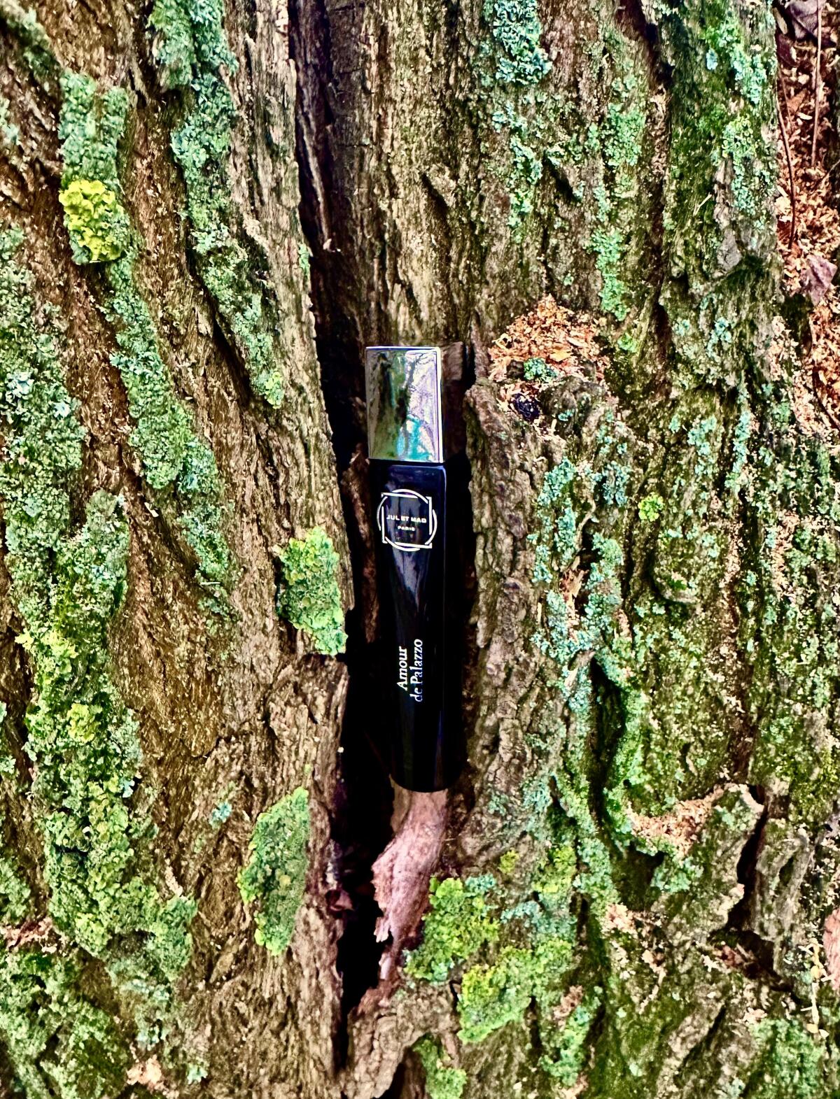 عطر ادکلن امور د پَلَزو ژول ات مد پاریس - Amour de Palazzo Jul et Mad Paris - بررسی، قیمت و خرید