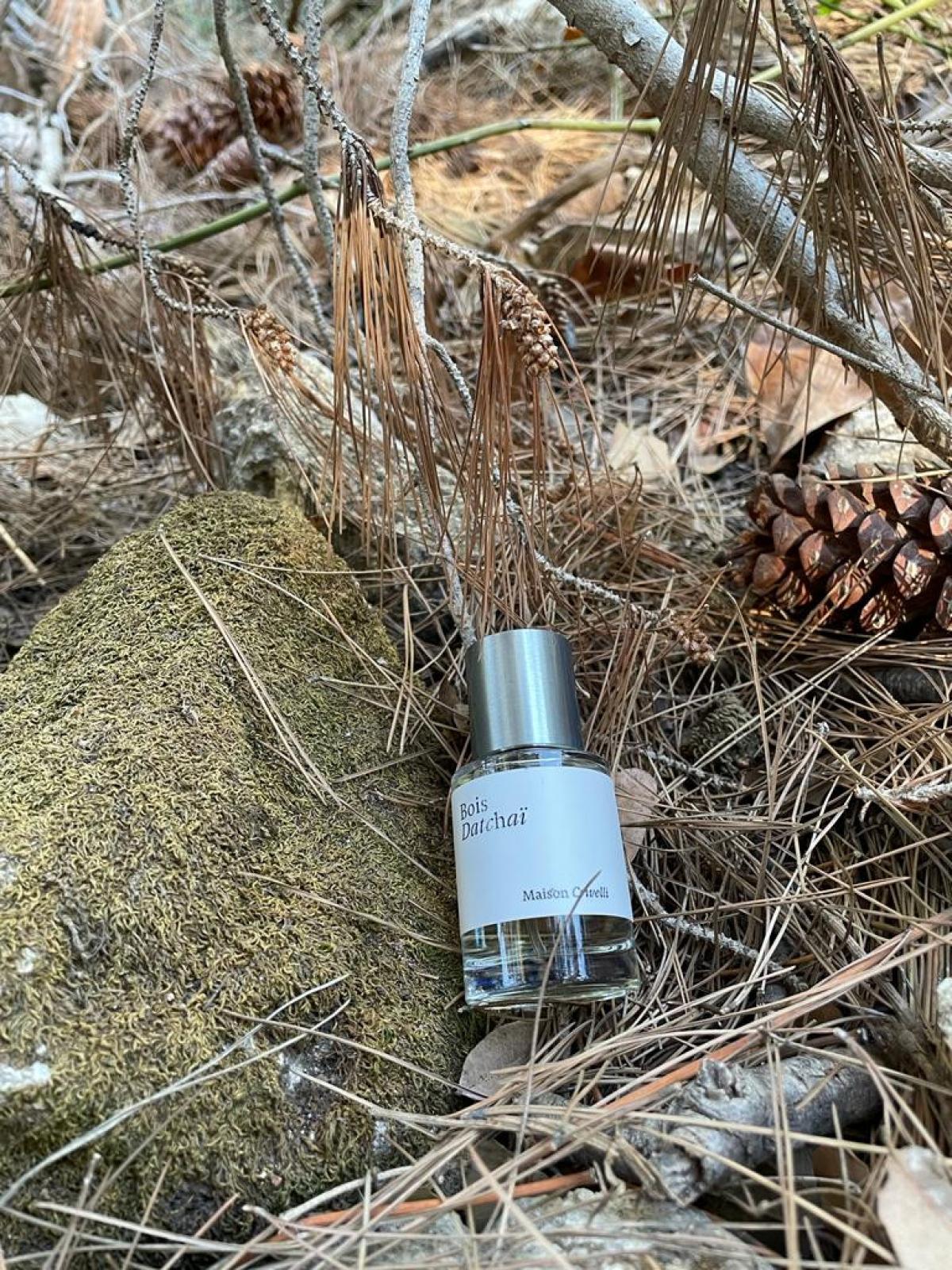 عطر ادکلن بوا داچای میسون کریویلی - Bois Datchaï Maison Crivelli - بررسی، قیمت و خرید