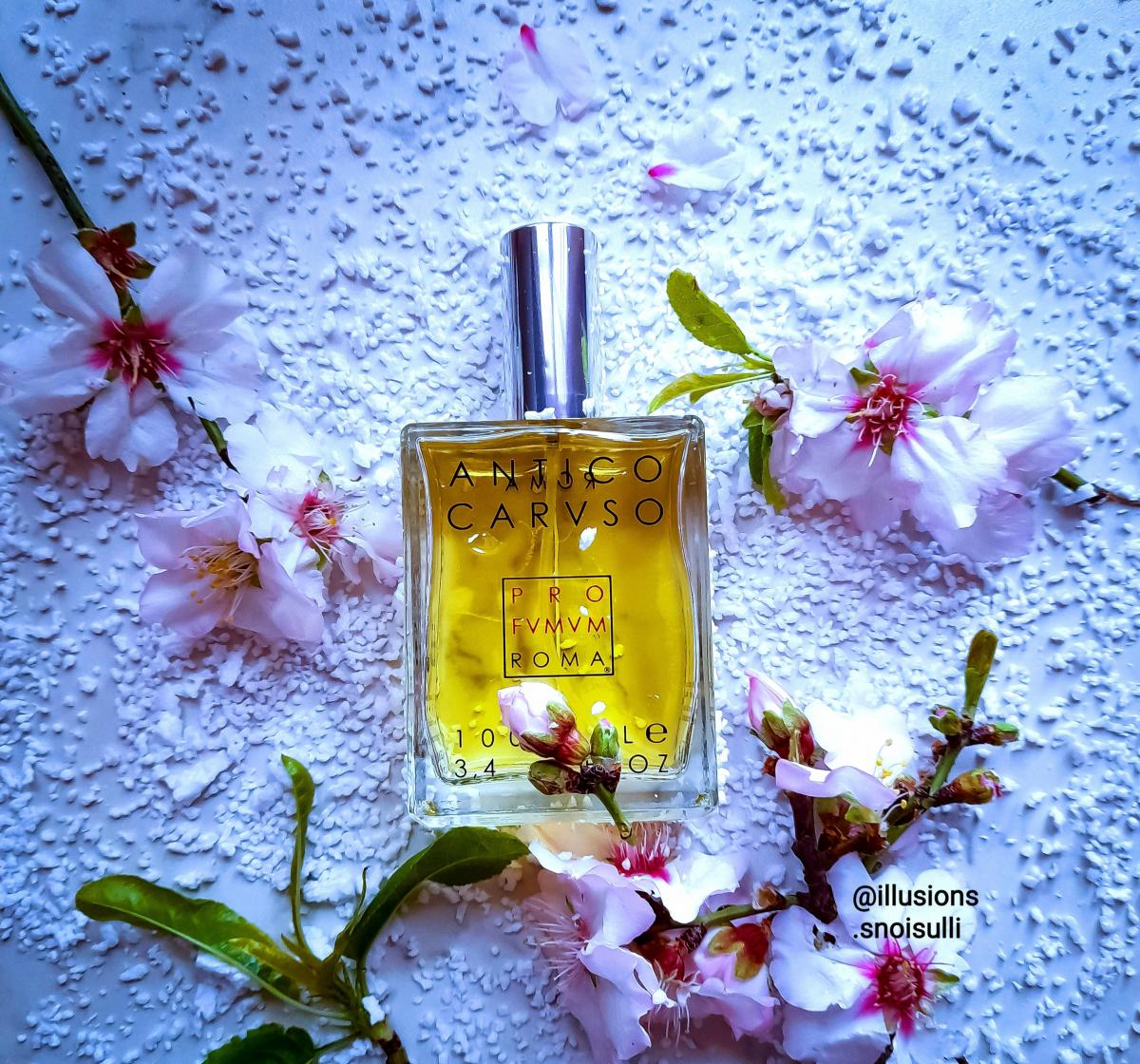 عطر ادکلن آنتیکو کاروسو پرفیوم روم - Antico Caruso Profumum Roma - بررسی، قیمت و خرید