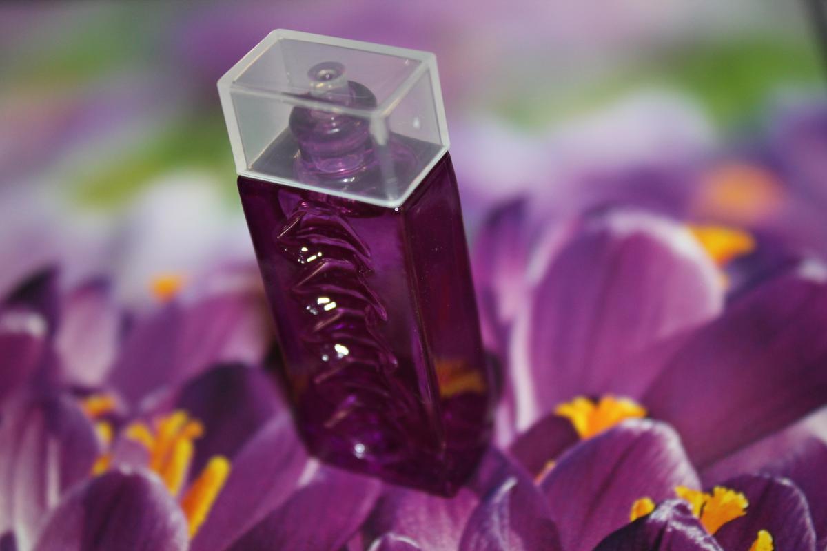 عطر ادکلن پرپل لیپس سالوادور دالی - Purplelips Salvador Dali - بررسی، قیمت و خرید